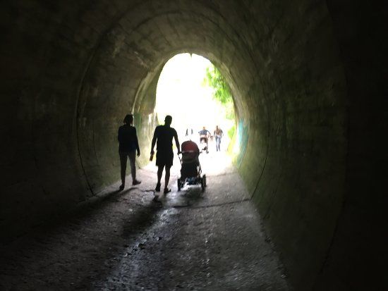 Wniebowzięcia Najświętszej Maryi Panny